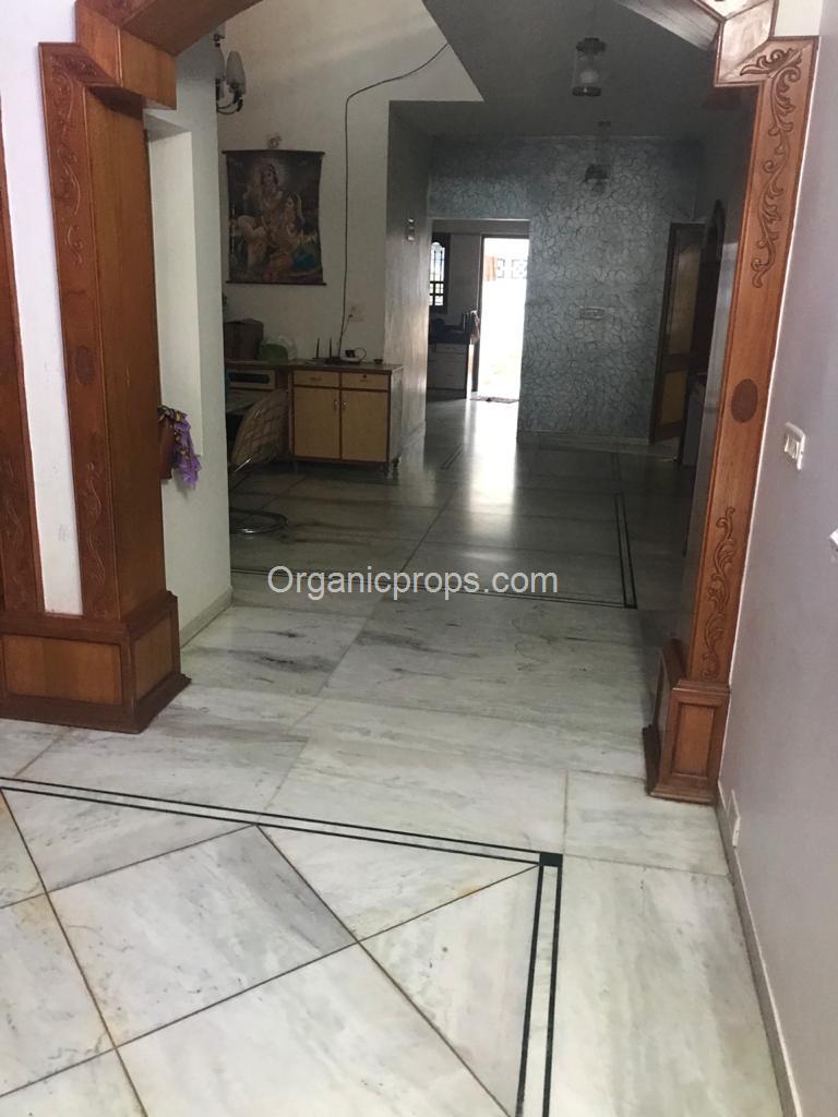 WhatsApp Image 2023-08-17 at 620230817183940216.jpeg